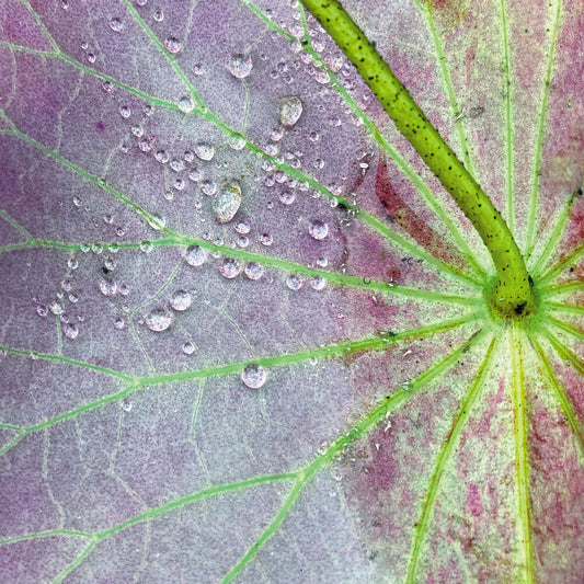 Pre-Order: Peter Chilvers - Dust 2 (10in) [LP]