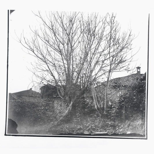 Siavash Amini - Caligo [CD]