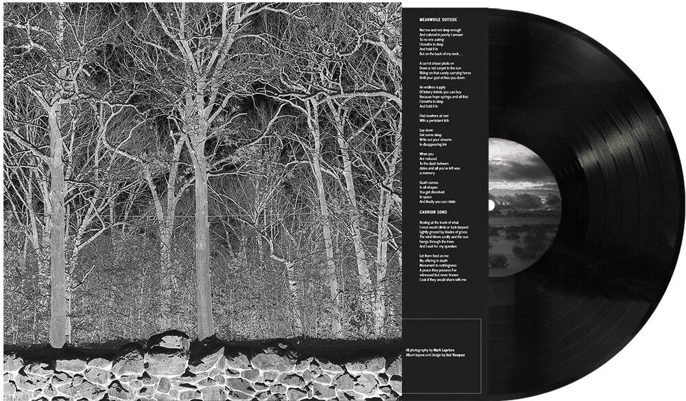 Pile - Sunshine & Balance Beams [LP]