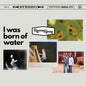 Revere Rivers - I Was Born Of Water [LP]