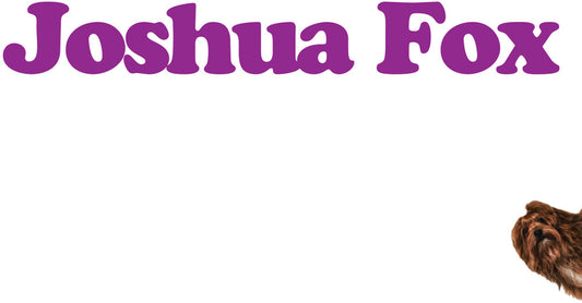 the album cover for Joshua Fox - Joshua Fox (Mod)