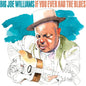 Big Williams  Joe - If You Ever Had The Blues (Eco) [CD]