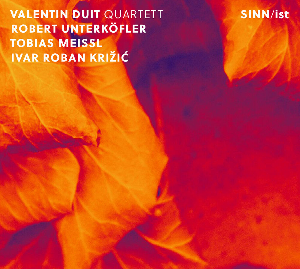 Valentin Duit - Sinn/ist [CD]