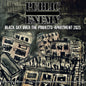 Public Enemy - Black Sky Over The Projects: Apartment 2025 [LP]