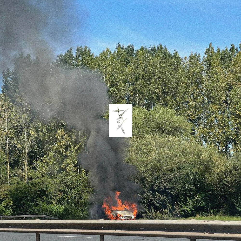 Eden - Dark [Translucent Green LP]