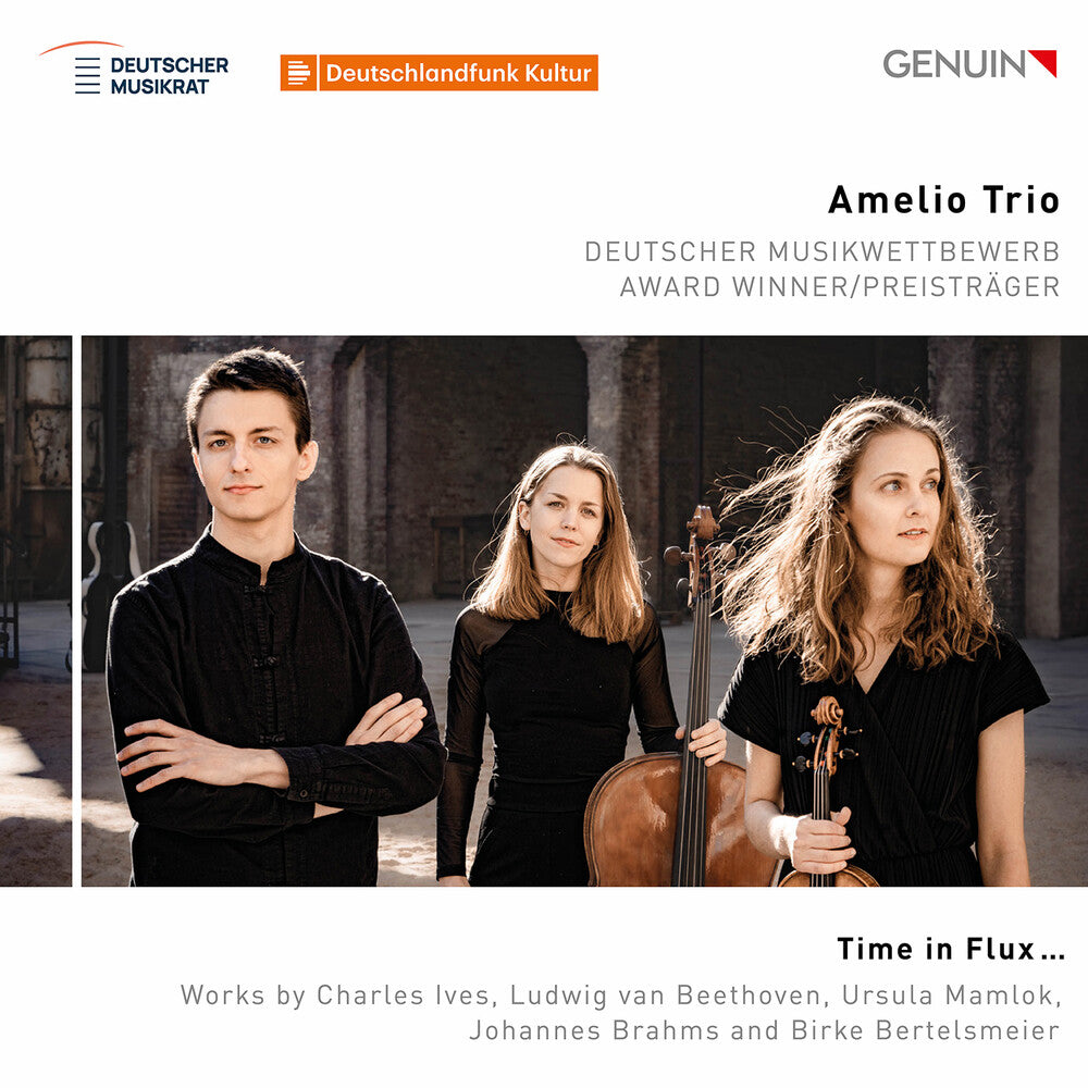 Amelio Trio - Time In Flux [CD]