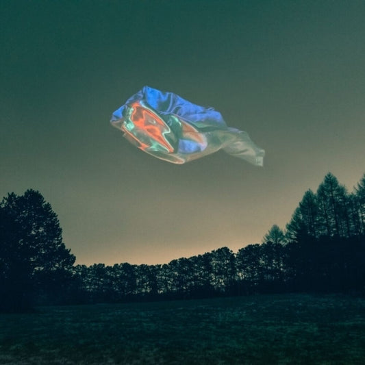 Elektro Guzzi - Liquid Center [LP]