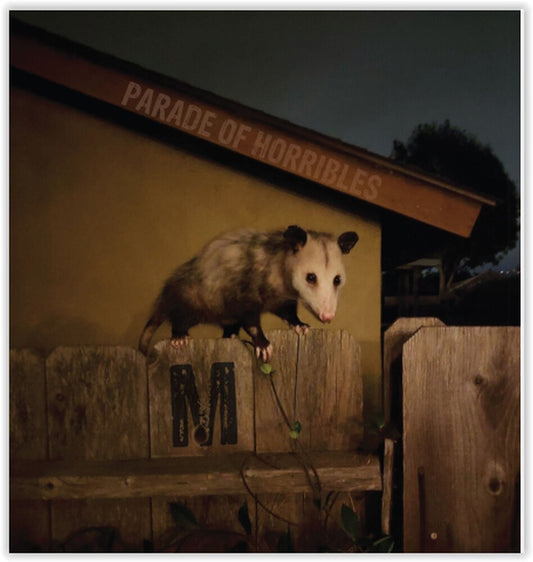 Parade Of Horribles - Nma [LP]