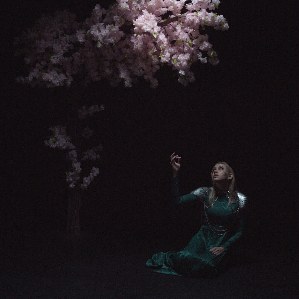 Daedric - As The Light Left [With Booklet] (Phot) [Digipak]