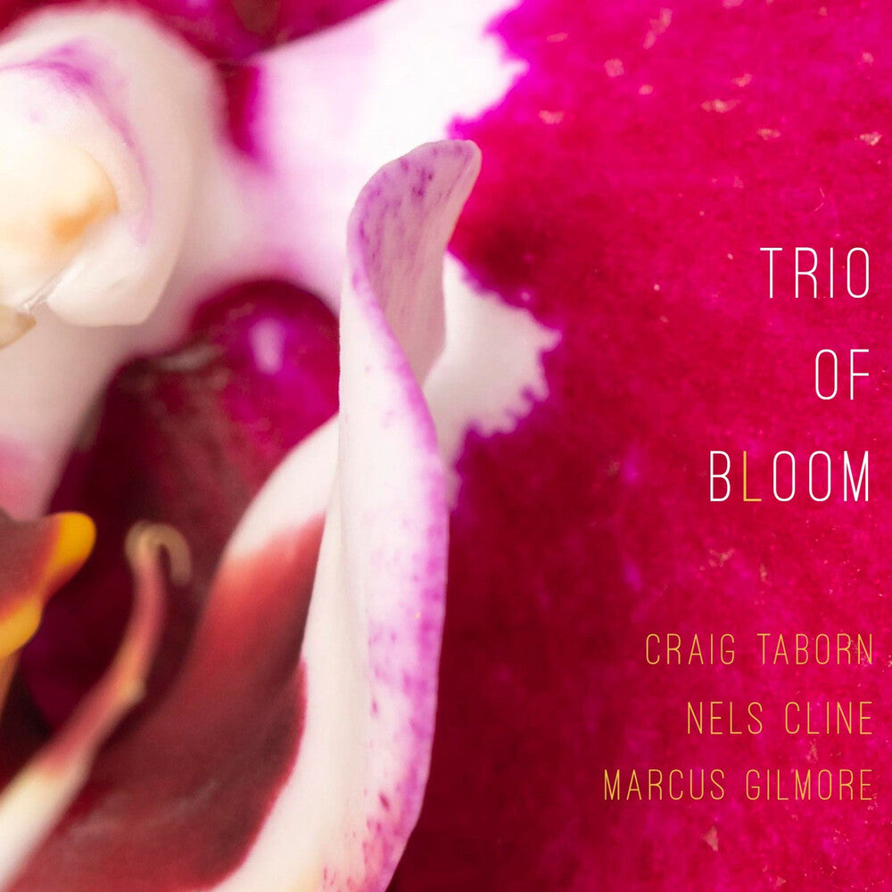Trio Of Bloom - Trio Of Bloom [CD]