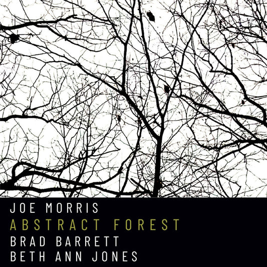Joe Morris - Abstract Forest [CD]