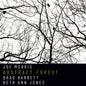 Joe Morris - Abstract Forest [CD]