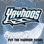 Yayhoos - Put The Hammer Down [LP]