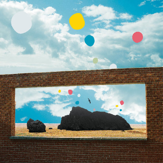 the album cover for Admiral Fallow - First Of The Birds [Colored Vinyl] (Ylw) [Download Included]