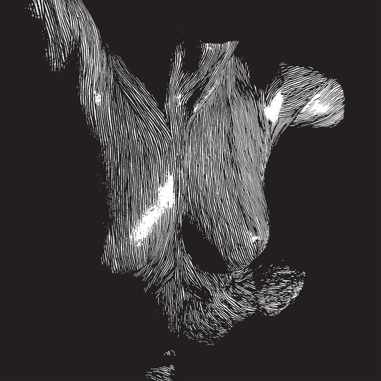 Oceansize - Self Preserved While The Bodies Float Up (Aniv) [LP]