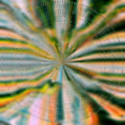 Nils Hoffmann - Everlight [Opaque Bone LP]