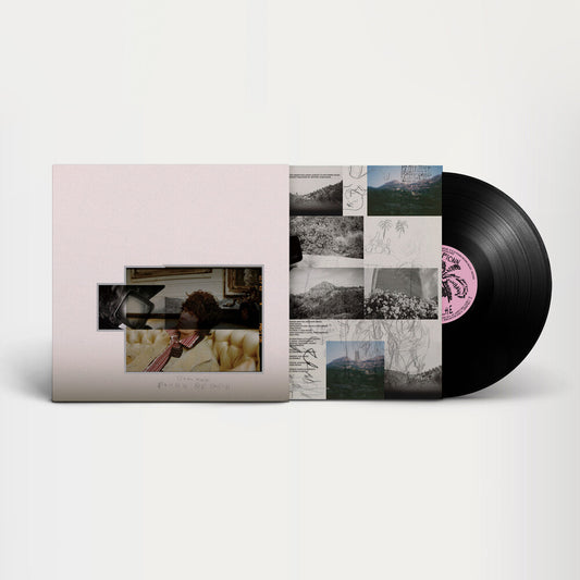 Fionn Regan - O Avalanche [LP]