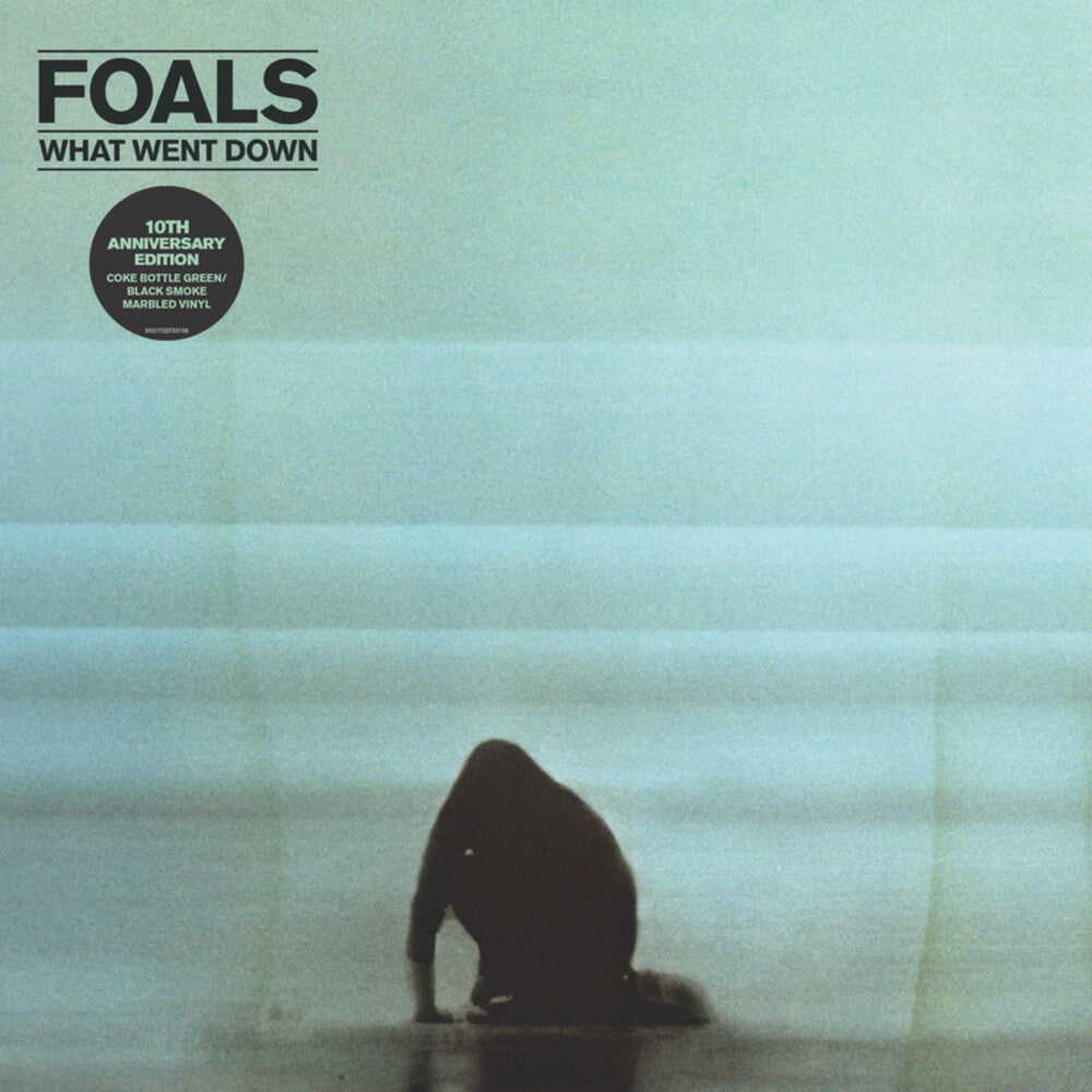 Foals - What Went Down (Aniv) [LP]