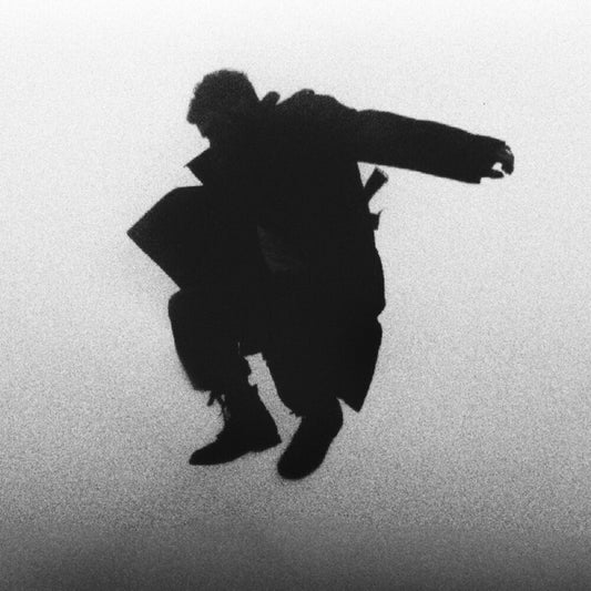 Pre-Order: Del Water Gap - Chasing The Chimera [CD]