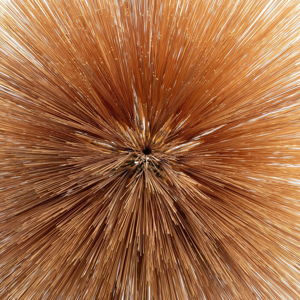 Patricia Brennan - Of The Near And Far [CD]