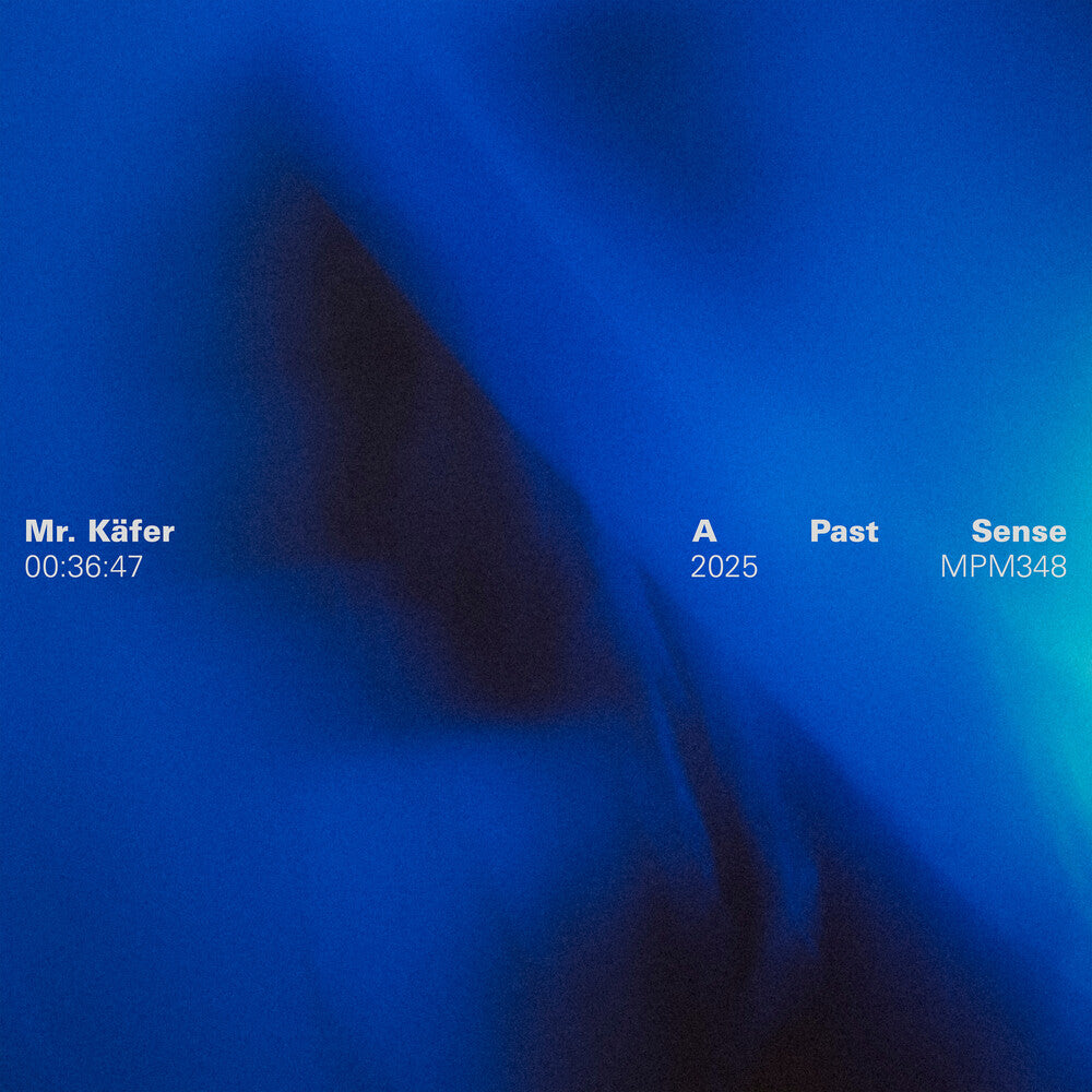 Pre-Order: Mr. Käfer - Past Sense [LP]