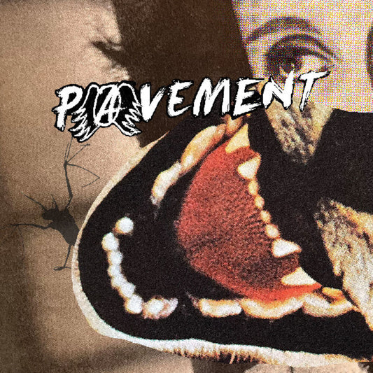 Pavement - Hecklers Choice: Big Gums And Heavy Lifters [LP]