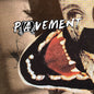 Pavement - Hecklers Choice: Big Gums And Heavy Lifters [LP]