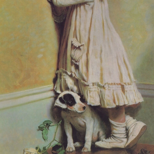 Pre-Order: Going Back To Sleep / Various - Going Back To Sleep / Various [LP]