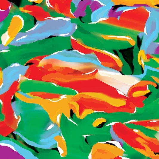 Auntie Flo - Birds Of Paradise [LP]