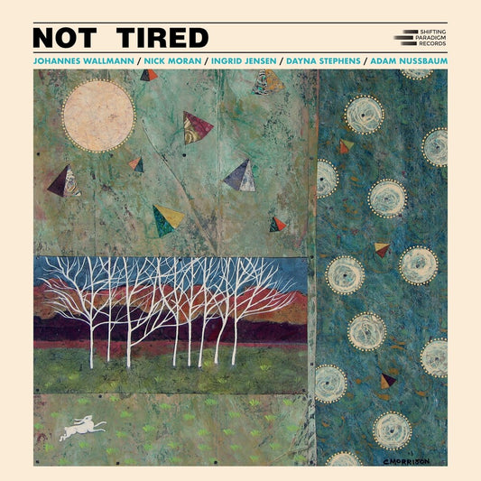 Pre-Order: Johannes Wallmann - Not Tired [CD]