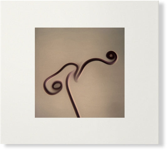 Pre-Order: Susumu Yokota - Image 1983-1998 [CD]