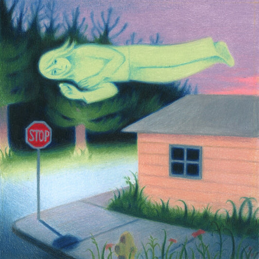 Fanclubwallet - Living While Dying [LP]