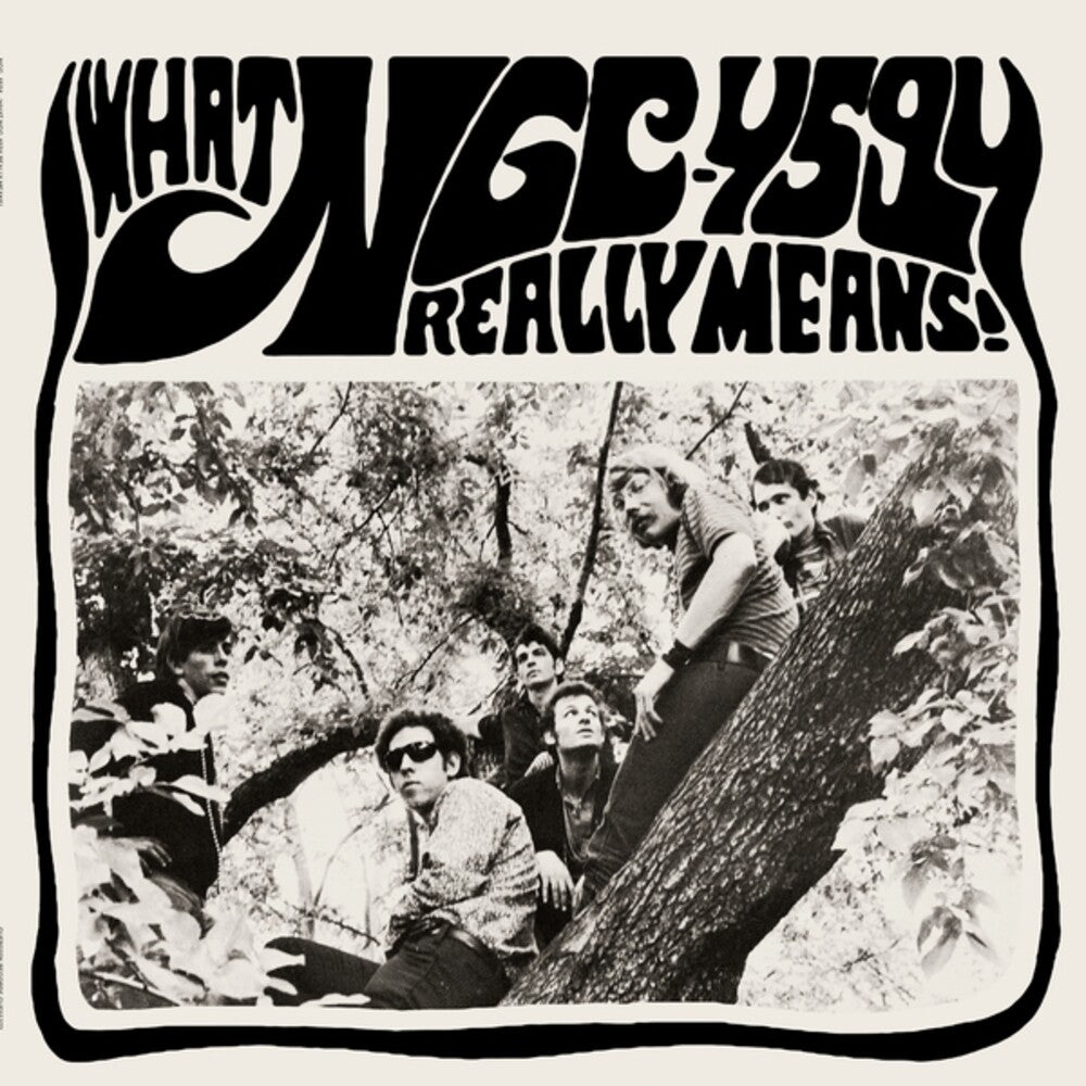 Ngc-4594 - What Ngc-4594 Really Means [LP]