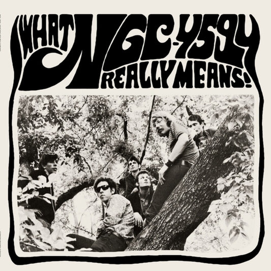 Ngc-4594 - What Ngc-4594 Really Means [LP]