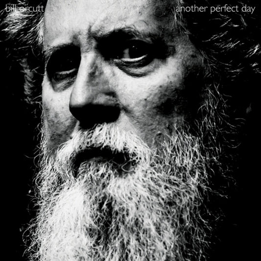 Bill Orcutt - Another Perfect Day [CD]