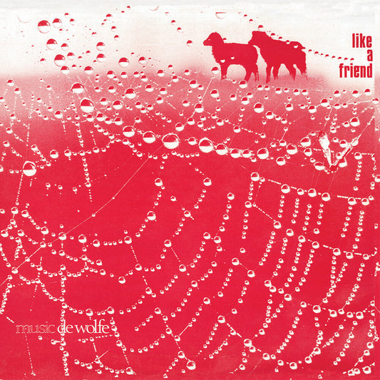 the album cover for Roger Webb - Like A Friend