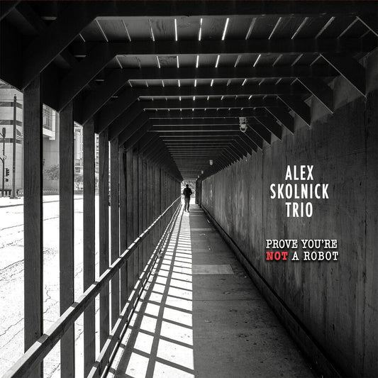 the album cover for Skolnick, Alex Trio - Prove You're Not a Robot