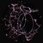 the album cover for Leo Len - Echolocation (Ep)
