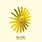the album cover for Chills - Sunburnt [Colored Vinyl] (Ylw) [Download Included]