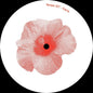 the album cover for Carre - Hibiscus (Ep)