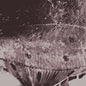 the album cover for Mark Ijzerman - Flounder Maps
