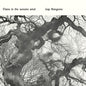 the album cover for Gap Mangione - Diana In The Autumn Wind