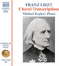 the album cover for Michael Kaykov - Liszt: Complete Pno Music Vol. 69
