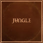 the album cover for Jungle - Sunshine [Black]