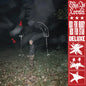 the album cover for This Is Lorelei - Box For Buddy Box For Star - Super Deluxe