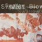 the album cover for Swallow - Blown