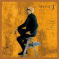 the album cover for David J - Tracks From The Attic Revisited