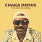 the album cover for Chaka Demus - She Gives Me Loving (Mod)
