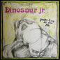 the album cover for Dinosaur Jr - You're Living All Over Me (Revinyl Edition) [Colored Vinyl]
