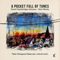 the album cover for Peter Skaerved  Sheppard - Pocket Full Of Tunes